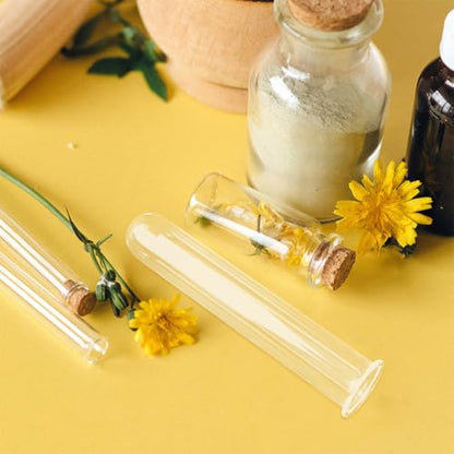 TOYANDONA 4pcs Glass Test Tube Vase Hydroponic Plant Holder Small Glass Propagation Tubes for Desktop Terrarium Decoration Home Garden