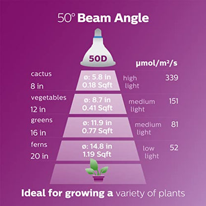 PHILIPS LED 120W PAR38 4-Pack Basic Daylight (5000K) 1325 Lumen (15.5W = 120W) Frosted Light Bulbs - size: 4 Pack
