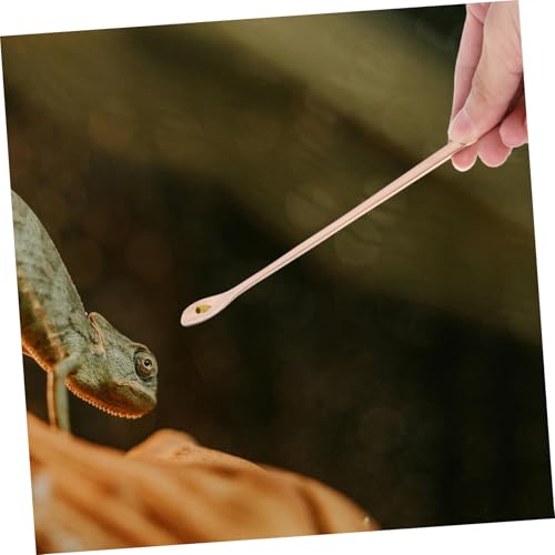 2pcs Reptile Food Spoon Long Handle Feeding Tool for Lizards and Small Pets Stainless Steel Design for Easy Feeding and Convenience - color: Golden