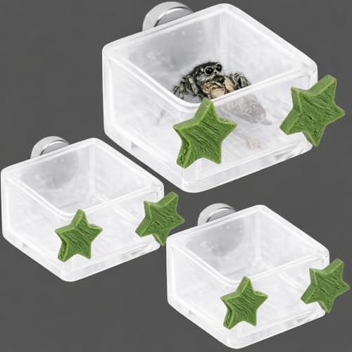 3 Pcs Magnetic Jumping Spider Feeding Dish Jumping Spider Enclosure Accessories Star-Shaped Design Reptile Water Bowl for Other Small Reptiles or Insects - color: 3 Five-Pointed Star Food Bowls