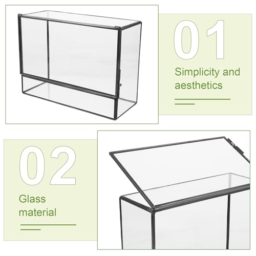 Happyyami Glass Terrarium Micro Landscape Container for Indoor Desktop Ecosystem Moss Planter Small Geometric Glass Holder 145x80x195mm Suitable for Succulent and Moss Gardening