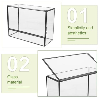 Happyyami Glass Terrarium Micro Landscape Container for Indoor Desktop Ecosystem Moss Planter Small Geometric Glass Holder 145x80x195mm Suitable for Succulent and Moss Gardening