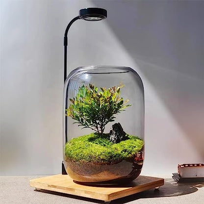SARUFO Glass Plant Terrarium Kit, 6.3"X8.6" Micro-Landscape Vase with Light, Snowman and Pine Trees, for Home Office Tabletop Decoration, Wardian, Unique