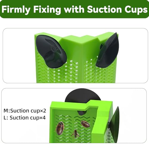 Bearded Dragon Feeder Chameleon Feeder for Mounted Insect (Medium) | Plastic,Anti-Escape,Corner,Crested Gecko Tank Accessories,with Rope Suction Cup and Tweezers,for Lizard Gecko Frog