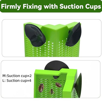 Bearded Dragon Feeder Chameleon Feeder for Mounted Insect (Medium) | Plastic,Anti-Escape,Corner,Crested Gecko Tank Accessories,with Rope Suction Cup and Tweezers,for Lizard Gecko Frog