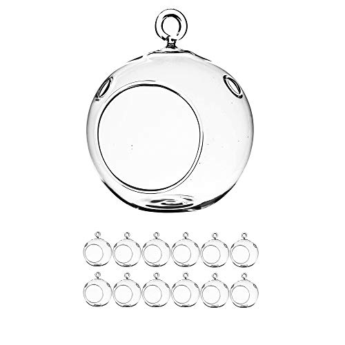 WGV Hanging Terrarium Globe, Width 3", Height 4", DIY Air Succulent Planter, Clear Glass Vase Orb with Flat Bottom, Candle Holder for Windowsill Outdoor Garden Decor, 12 Pieces Bulk - size: 3" Flat Bottom