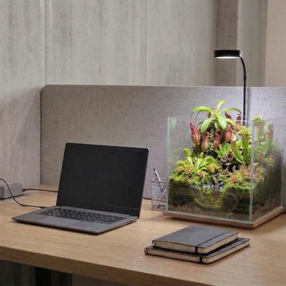 AREPK Aquarium & Terrarium Light, Full Spectrum LED with Auto On/Off Timer | Fits Various Tank Shapes; For Tanks Under 7 Gallons, Betta Tanks, Moss, Succulents, Carnivorous Plants and Mini Landscapes
