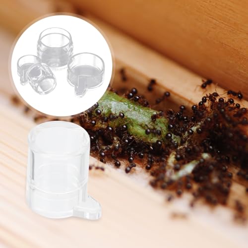 Ant Water Feeder Bowl with Separate Feeding Port Transparent Acrylic Mini Water Dish for Ants Nest Hydration and Nature Observation 1.53X1.29X1.18 Inch 2 Pack