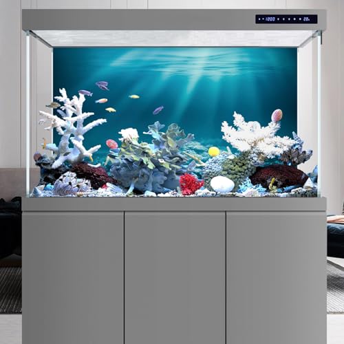 36x24 in Undersea Aquarium Backdrop Underwater World Fish Tank Background | AWERT Sunshine Seabed Blue Coral Terrarium Background Vinyl - size: 36x24in/90x60cm