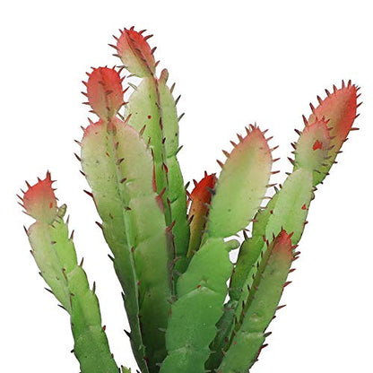 Zerodis Artificial Plant, Simulation Plastic Aquatic Plants Terrarium Reptiles Habitats Decoration Home Decor for Fish Aquarium Landscape