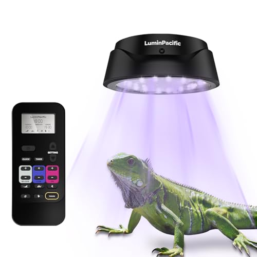 UVB Reptile Lights with Remote, UVA UVB Light with Timer | 24/7 Timer, UVB Output covers Ferguson Zones 1-4, UVA UVB Reptile Lamp for Terrarium, 5 Preset Modes&DIY Mode, Magnetic Mount - color: 1 Pack
