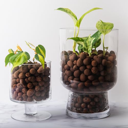 SuperMoss (24089) Natural LECA Clay Pebbles for Plants 4mm-16mm – Premium Clay Balls for Hydroponics, Orchid Potting Mix, Indoor Plant Soil Drainage, Terrarium Supplies & Hydroponic Grow Systems, 2qt