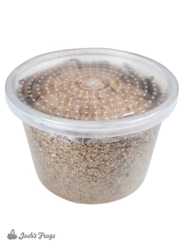 Josh's Frogs Superworms (100 Count) - size: 1 Count (Pack of 100)