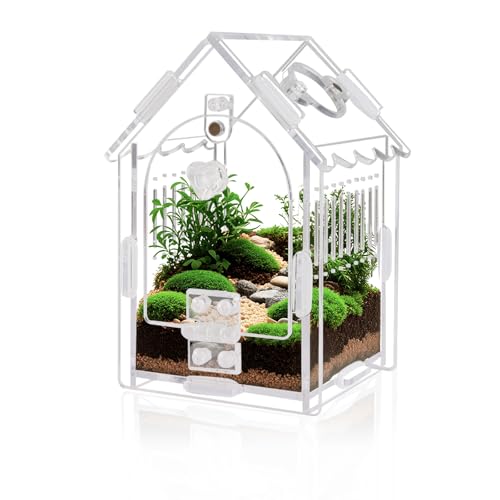 Acrylic Jumping Spider Enclosure with Magnetic Lock & Feeding Port | Scratch-resistant clear acrylic, 1mm vent, tool-free, magnetic door for arboreal tarantula & mantis