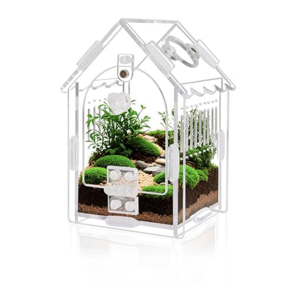 Acrylic Jumping Spider Enclosure with Magnetic Lock & Feeding Port | Scratch-resistant clear acrylic, 1mm vent, tool-free, magnetic door for arboreal tarantula & mantis