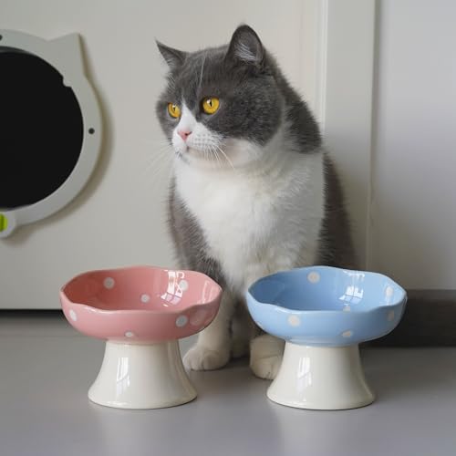 Pink Mushroom Cat Bowl, Elevated Ceramic Feeding Bowl | Elevated, Ceramic, Tilted Design, Whisker-Friendly, Dishwasher Safe, cute - color: Pink