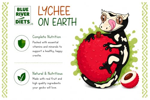 Blue River Diets Complete Crested Gecko Food | All-Natural Gecko Food Made in the UK | 70% Real Fruit | 2.1oz | 60g Lychee on Earth Flavor