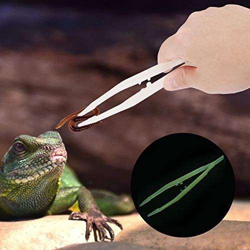 Glow in The Dark Reptile Feeding Tongs 10.6 Inch with Rubber Tip | Stainless Steel Tweezers, Long Curved & Straight Feeder Tool Kit for Bearded Dragon Snake Lizard Terrarium Accesso