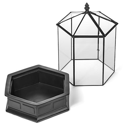 H Potter Six-Sided Glass Terrarium Wardian Case Succulent Planter | Hinged Roof, Indoor Plant Display, Resin Base, Decorative Tabletop
