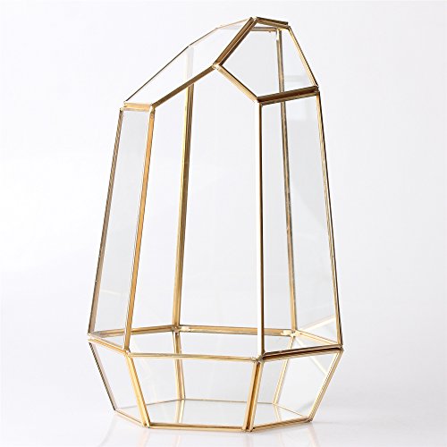 NCYP NO Door Gold Geometric Glass Terrarium for Succulent Air Plants | Irregular Terrarium Planter - Home Fairy Garden Small Decorative Display, Centerpiece - 6.5x5.7x9.8 Inches (No Plants)