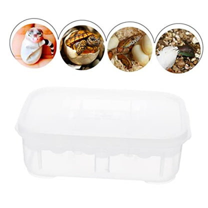 Reptile Hatching Incubation Box for Lizards Two Design for Eggs Hatching Container for Scientific Research and Boys and Girls Curiosity Lightweight and