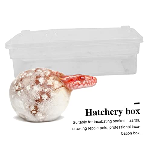Angoily 20grids Practical Hatchery Box Incubator for Reptiles Transparent Incubation Container for Snakes Lizards and Turtles for Educational and Scientific Use