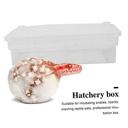 Angoily 20grids Practical Hatchery Box Incubator for Reptiles Transparent Incubation Container for Snakes Lizards and Turtles for Educational and Scientific Use