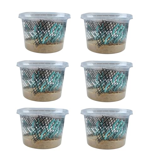 Josh's Frogs Hornworms Habitat Cup (25x6 Count Cup) - size: 25 Count (Pack of 6)