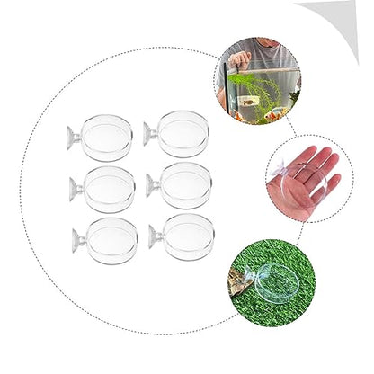 6pcs Cup Feeding Dish for Reptiles and Fish Food Trays for Aquatic Supplies Easy to Install and Clean for Freshwater Environments
