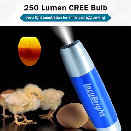 Incu-Bright™ Ultra Bright LED Egg Candler - Portable Light for All Egg Size