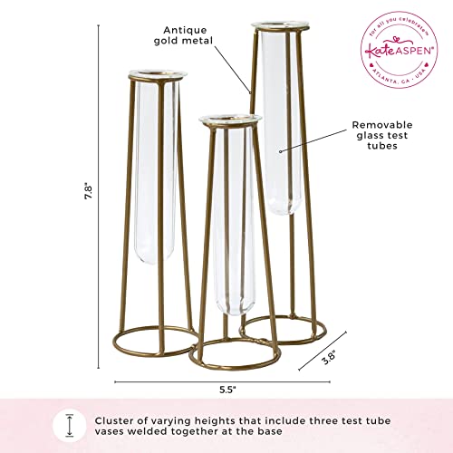 Propagation Station Terrariums with Gold Metal Stand - Kate Aspen 3 Glass Test Tube Planters for Indoor Plant, Air Plants, Plant Clippings, Cut Flowers, Herbs, Succulents | Home Decor Table Decoration