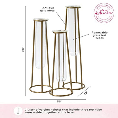 Propagation Station Terrariums with Gold Metal Stand - Kate Aspen 3 Glass Test Tube Planters for Indoor Plant, Air Plants, Plant Clippings, Cut Flowers, Herbs, Succulents | Home Decor Table Decoration