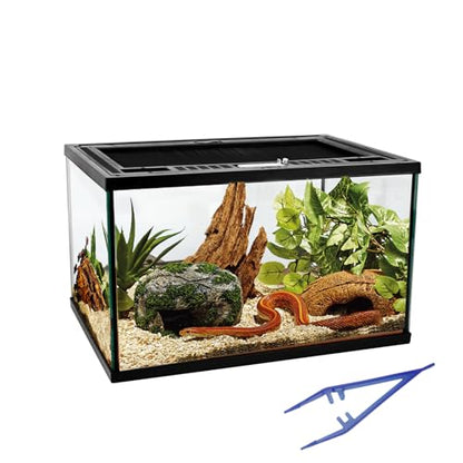 Reptile Glass Tank 16"x11"x9" Terrarium with Top Opening and Screen Ventilation for Leopard Gecko,Lizard,Hermit Crab,Snake,Spider,Frog,Bearded Dragon,Turtle with Feeding Tongs - size: 16*11*9inch