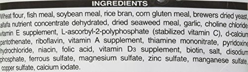 Hikari 8.8-Ounce Cichlid Staple Floating Pellets for Pets, Mini - color: Black, size: 8.8 Ounce (Pack of 1)