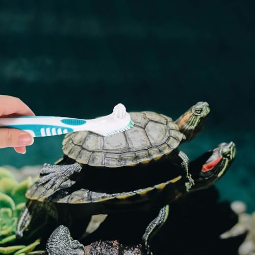 SUPVOX 2pcs Double-Sided Turtle Shell Cleaning Brush for Aquatic Turtles and Tortoises, Portable Mini Household Mud Remover Scrub Tool for Reptile Tank Maintenance