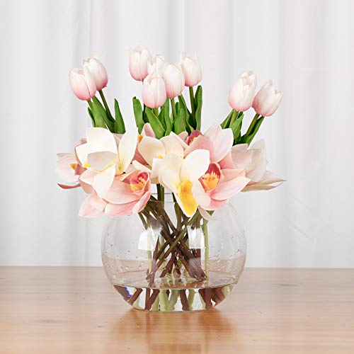 WGV Bowl Glass Vase Bulk, Diameter 6", Height 5", Open Width 4", (Multiple Sizes Choices) Clear Bubble Planter Terrarium Fish Bowl for Wedding Event Home Decor, 12 Pieces (VBW0006) - size: 6"Dx5"H 1 Case