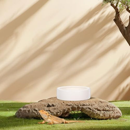 2 Pcs Ceramics Reptile Feeding Bowls for Small Reptile Animals and Lizards, White Round Bowls with Stable Desktop Standing and Safe Material, for Food and Water Storage