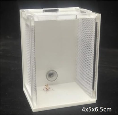 Reptile Breeding Box Acrylic Reptile Breeding Box Insect Incubator for Orchid Mantis Faunarium