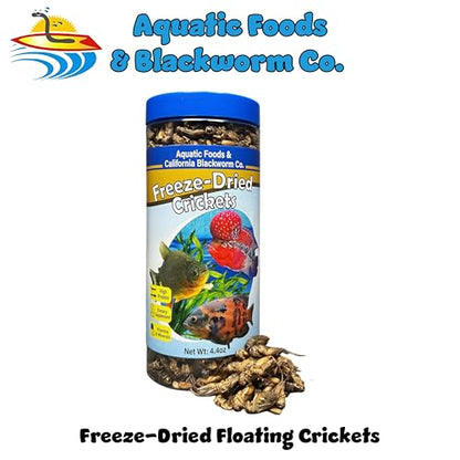 Crickets, Freeze Dried Crickets for Large Tropical Fish, Monster Fish, Reptiles, Turtles, Tortoises, Frogs, Hamsters, Birds, Rodents 6oz Canister - size: 6 Ounce (Pack of 1)