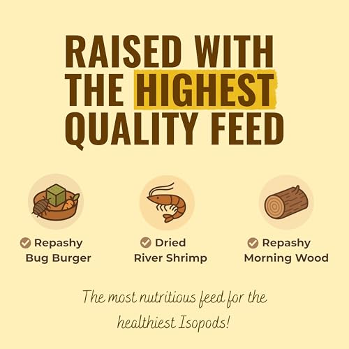 Creation Cultivated 12+ T+ Albino Armadillidium vulgare Isopods Live - Live Bugs for Bioactive Terrarium, Vivarium Clean-up Crews, and Reptile Food - Easy-Care Isopods for Terrarium