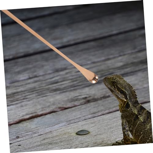 WOONEKY 2pcs Reptile Tong for Reptile Food Small Pet Feeding Spoon Gecko Feeding Tool Easy to Use Lizard Scoop - color: Rose Gold