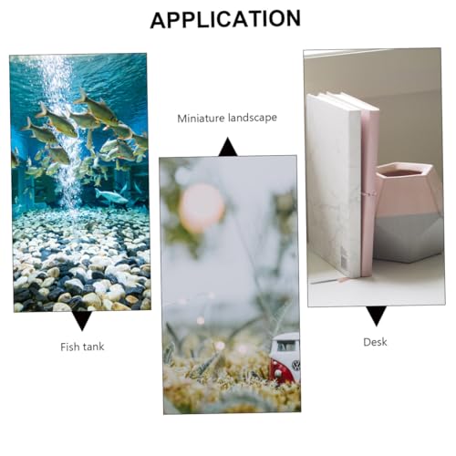 Acrylic Turtle Basking Platform with Climbing Ramp Durable Aquarium Decoration for Freshwater Tanks Hideaway and Resting Spot for Small Reptiles and Frogs
