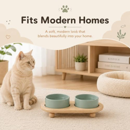 Havniva Raised Cat Bowl 5.1” Elevated Ceramic Cat Food and Water Bowl Set | Cat Bowls Elevated, Whisker Friendly Cat Bowl, Non-Slip Wood Stand, Food-Grade Ceramic, Wide Opening, Dishwasher Safe - color: Light Green, size: 2 Bowls+Tray - 5.1"