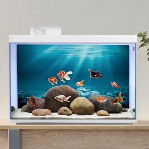 36x20 in Undersea Aquarium Backdrop Underwater World Fish Tank Background | AWERT Sunshine Seabed Blue Coral Terrarium Background Vinyl - size: 36x20in/90x50cm