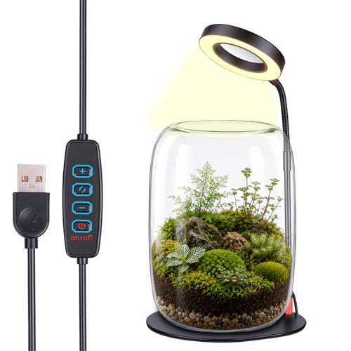 Desk Grow Light with Glass Terrarium, 3X Aperture | Full-spectrum LED, 3 modes, 10 brightness levels, USB power, 28-43 cm pole, 90° rotating head, for moss and succulents - size: 3X magnification