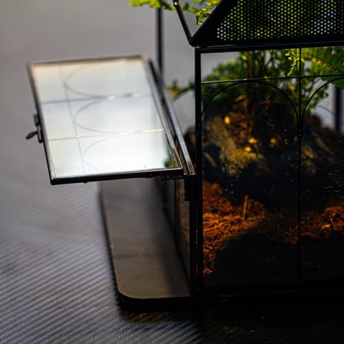 NCYP Glass Enclosure with Vent Holes for Jumping Spiders, Praying Mantis, Small Insect - 7.5" x 4.9" x 9" Front Opening Door Vented Glass Terrarium - House Shape, Home Decor, Black (Terrarium Only) - size: 7.5" x 4.9" x 9"