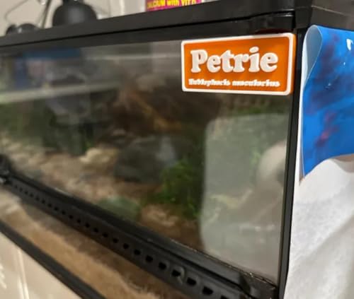 Magnetic Reptile Personalized Name Sign for Leopard Gecko, Crested Gecko, Frogs, Snakes, Hermit Crab with Species Name Plate Habitat Decor Accessories