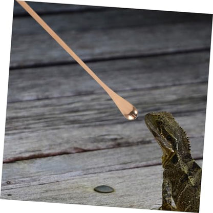 Kisangel 3pcs Pet Food Feeding Spoon Handle Reptile Food Tool for Lizards and Animals Convenient and Versatile Feeding