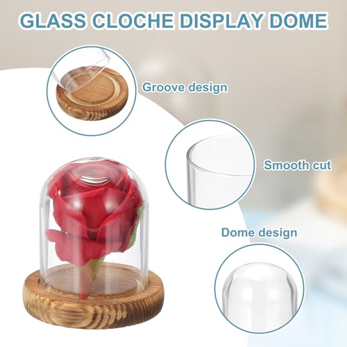 uxcell Glass Cloche Display Dome, 3.1" x 2.5" Glass Dome Display Case, Wood - size: 3.1" x 2.5"