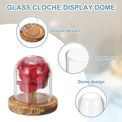 uxcell Glass Cloche Display Dome, 3.1" x 2.5" Glass Dome Display Case, Wood - size: 3.1" x 2.5"
